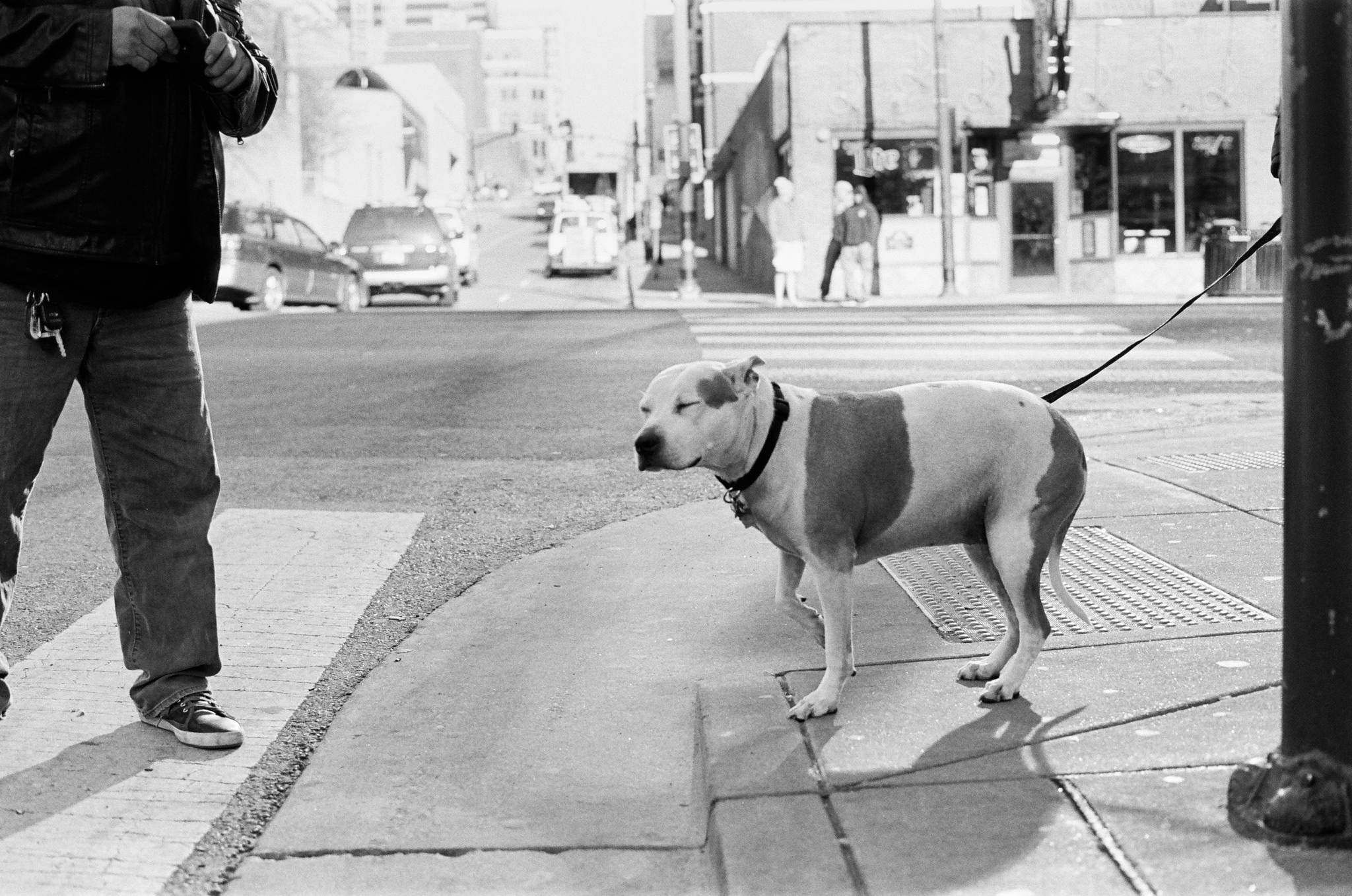 Nashville Street Photography. Shot on Kodak Trix-400 (35 mm Gelatin Silver)