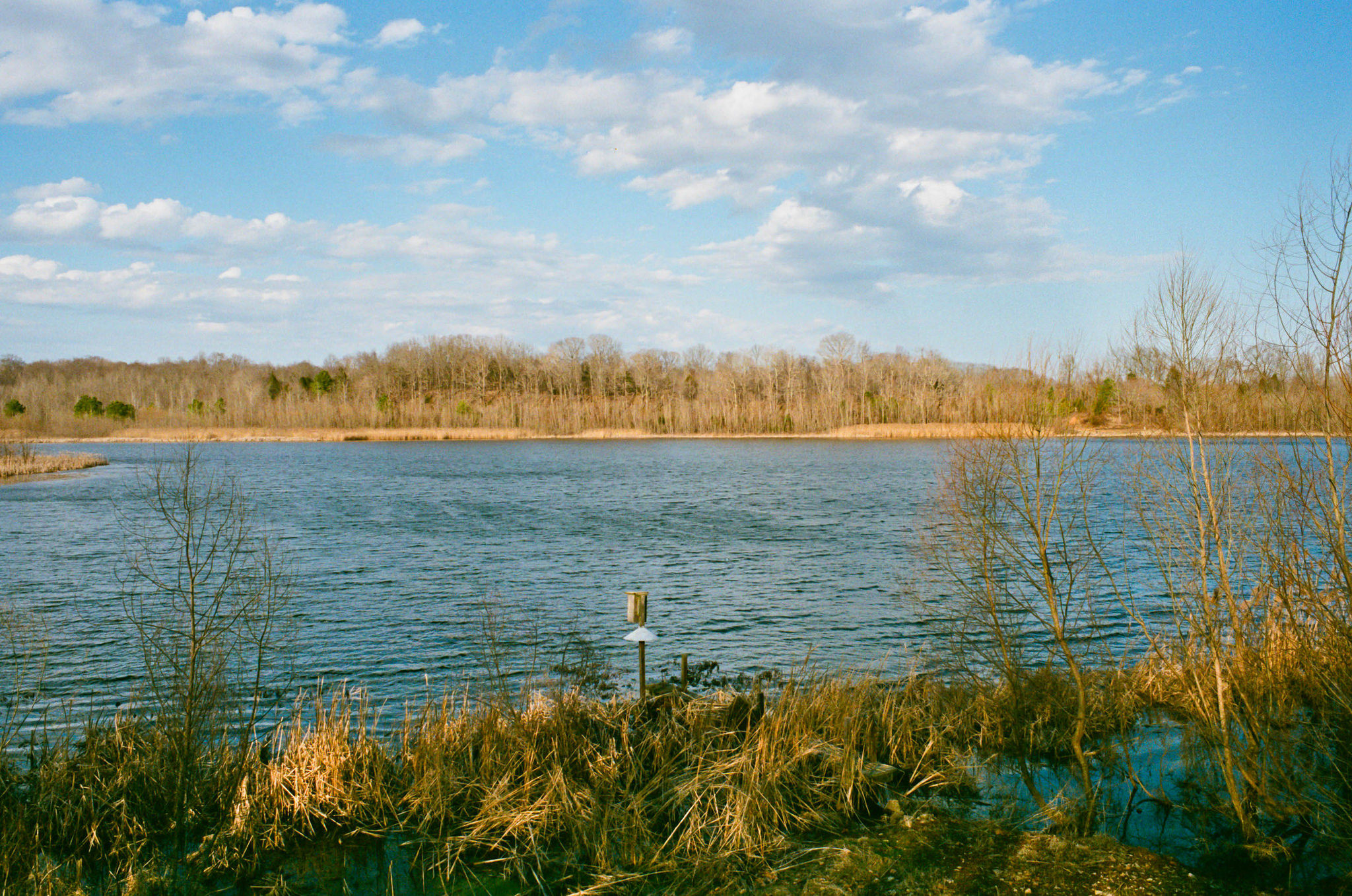 Williamsport Lakes - Williamsport, Tennessee - Olympus OM1 / 28mm f3.5 / Fuji Superior X-Tra 400 / Film Box Lab