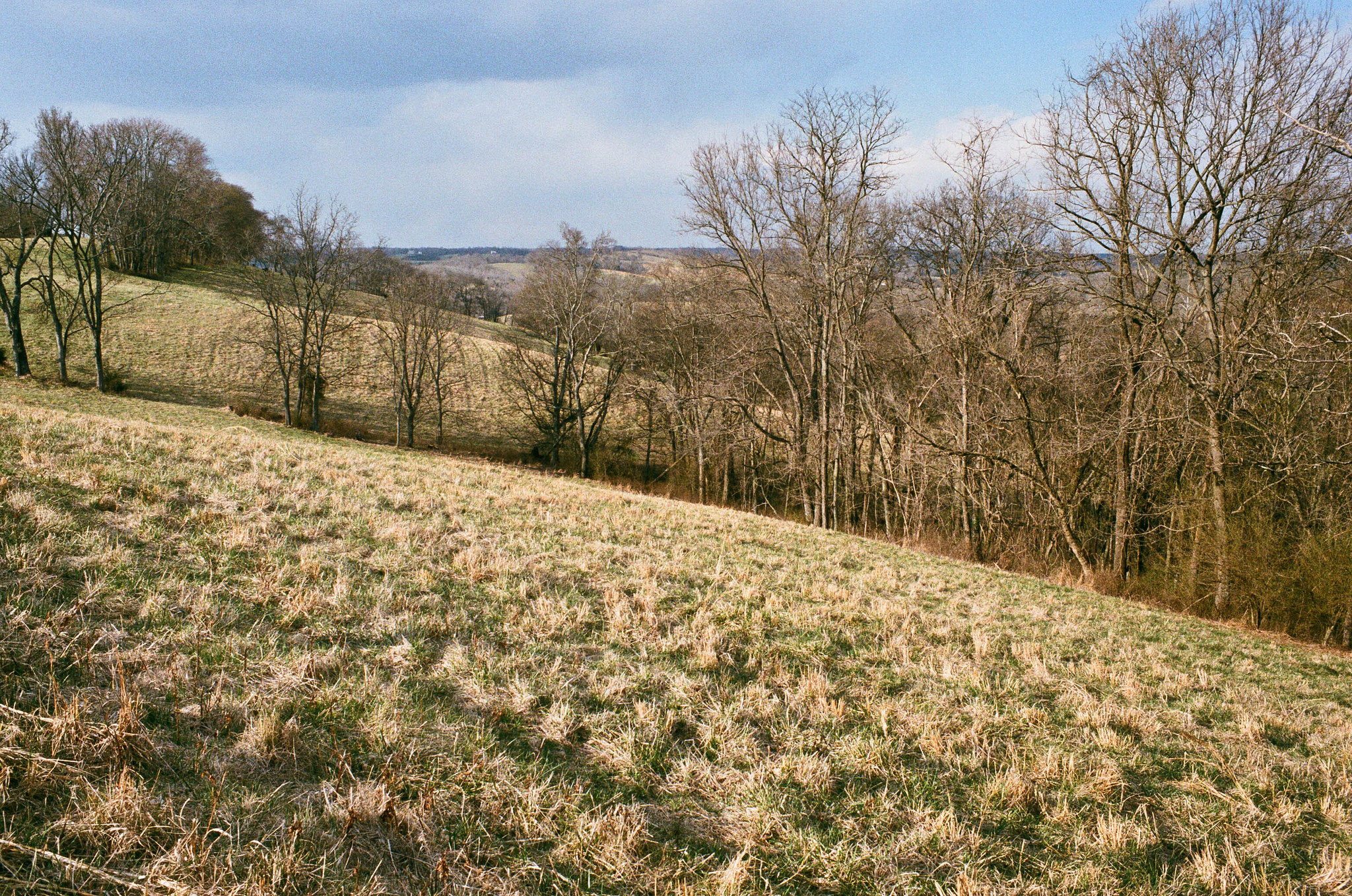 Maury County, Tennessee - Olympus OM1 / 50mm f1.8 / Superiro X-Tra 400 / Film Box Lab