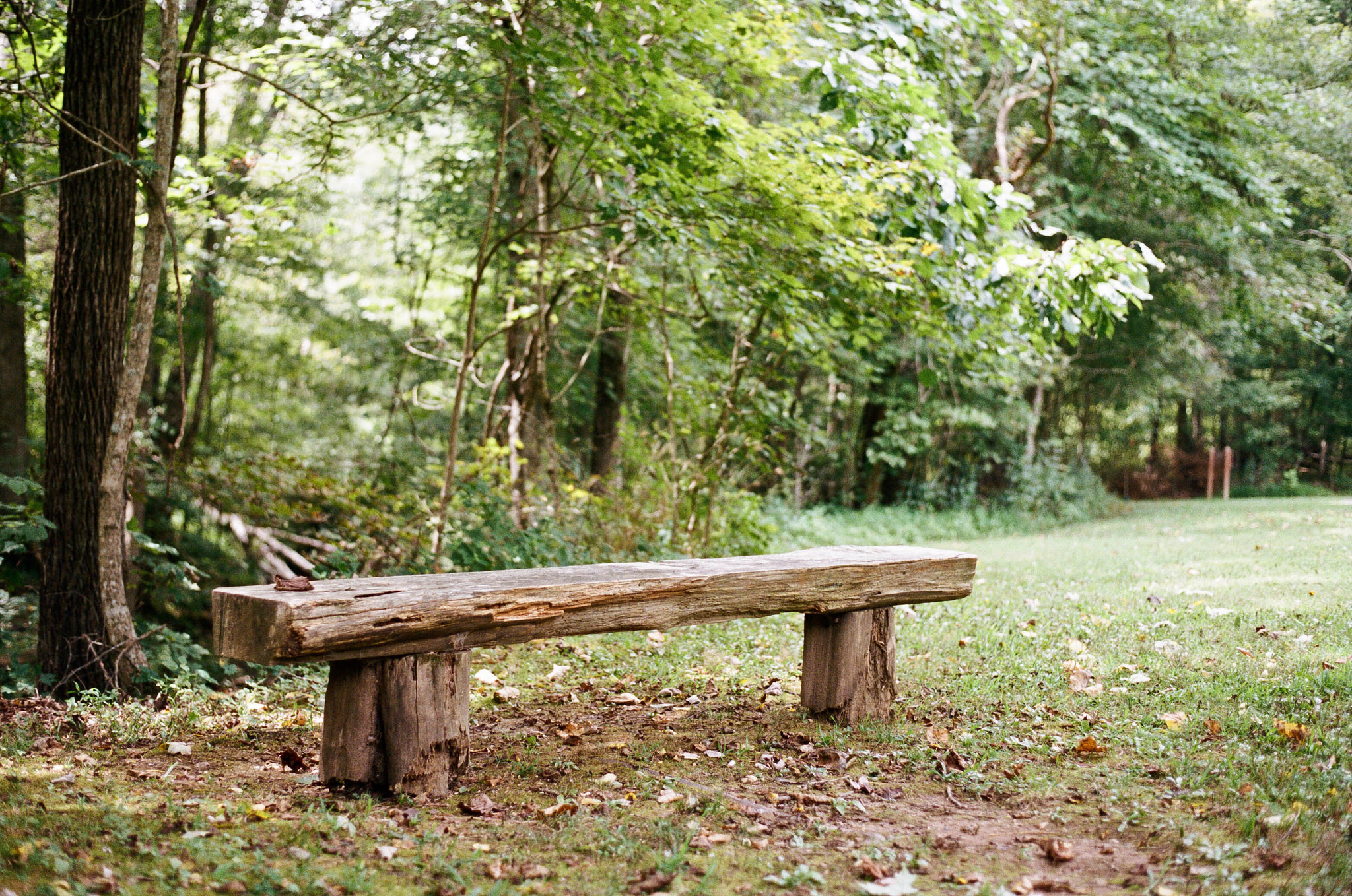 Montgomery Bell State Park - Olympus OM1 / 50mm f1.8 / Kodak Portra 400 / Film Box Lab