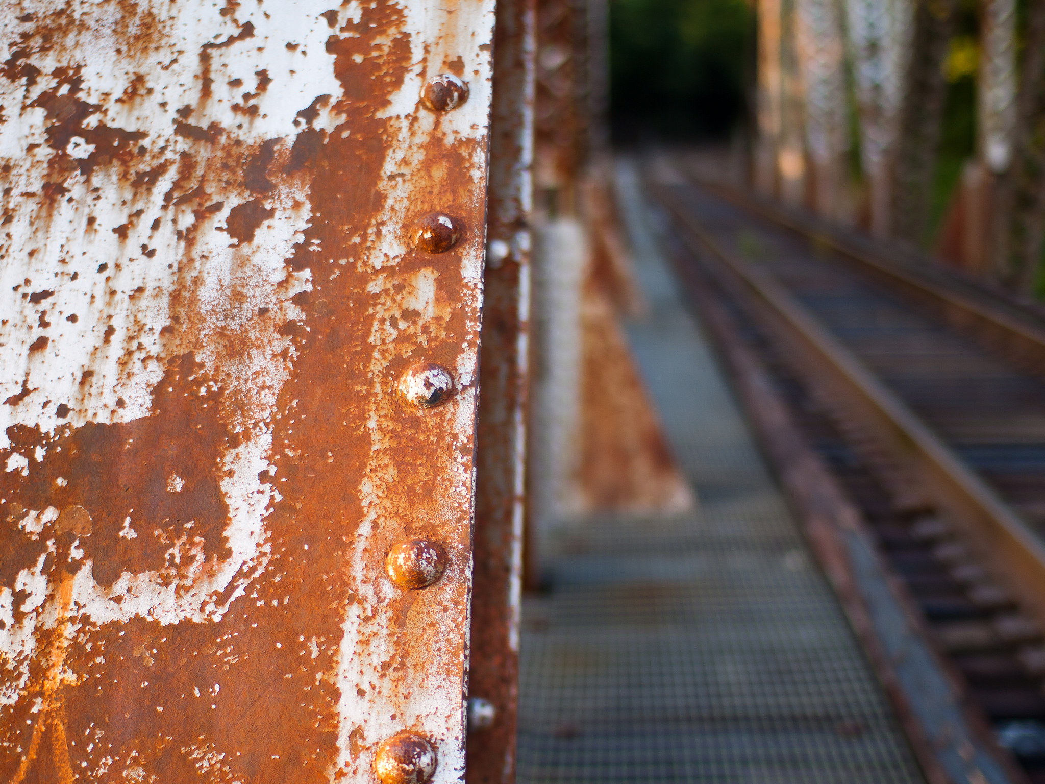 Train Trestle - Maury County, Tennessee - Olympus E520 / Sigma 30mm f1.4