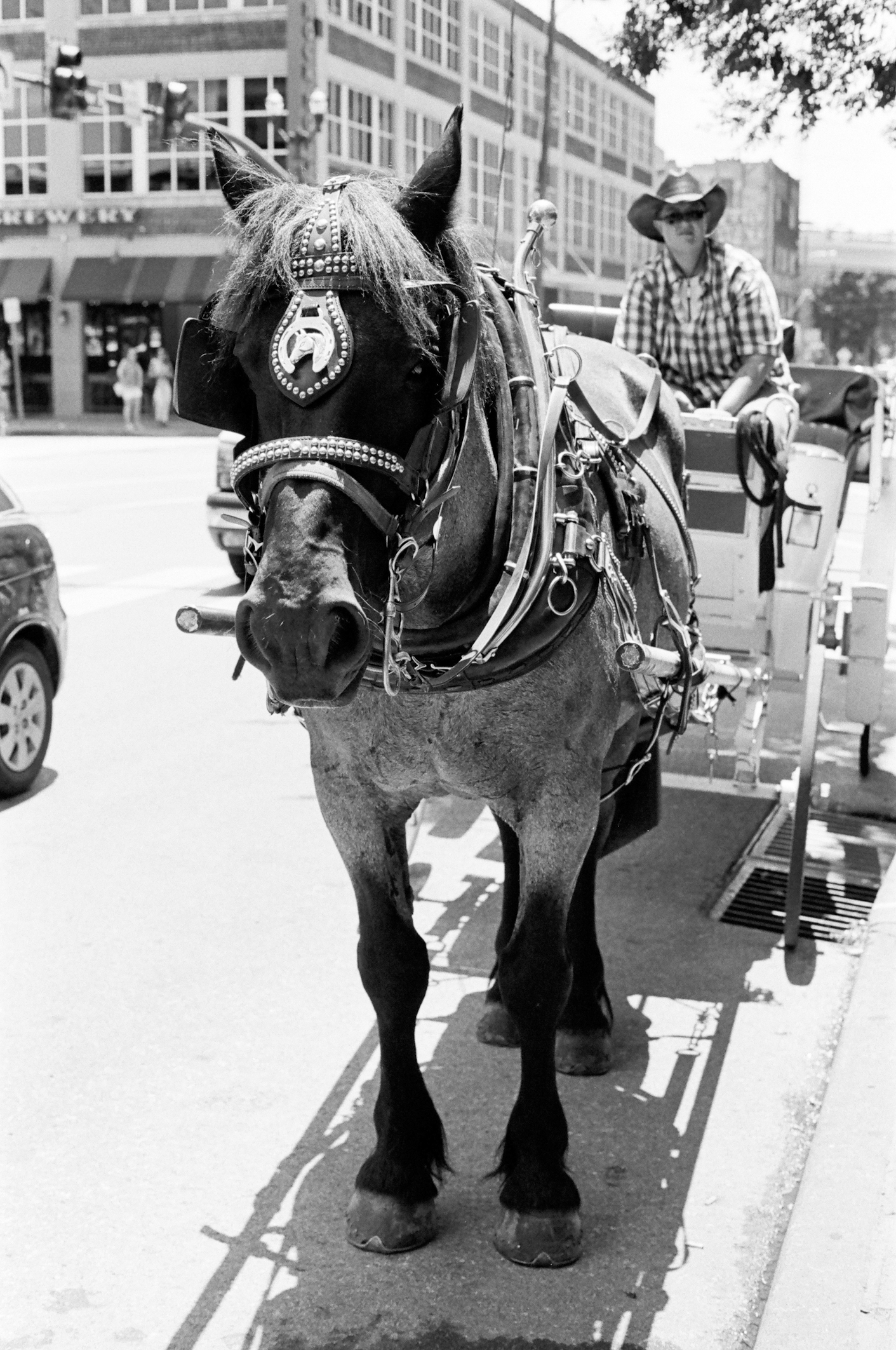 Downtown Nashville, Tennessee - Olympus OM1 / 50mm f1.8 / Kodak TRI-X 400 / FINDLab