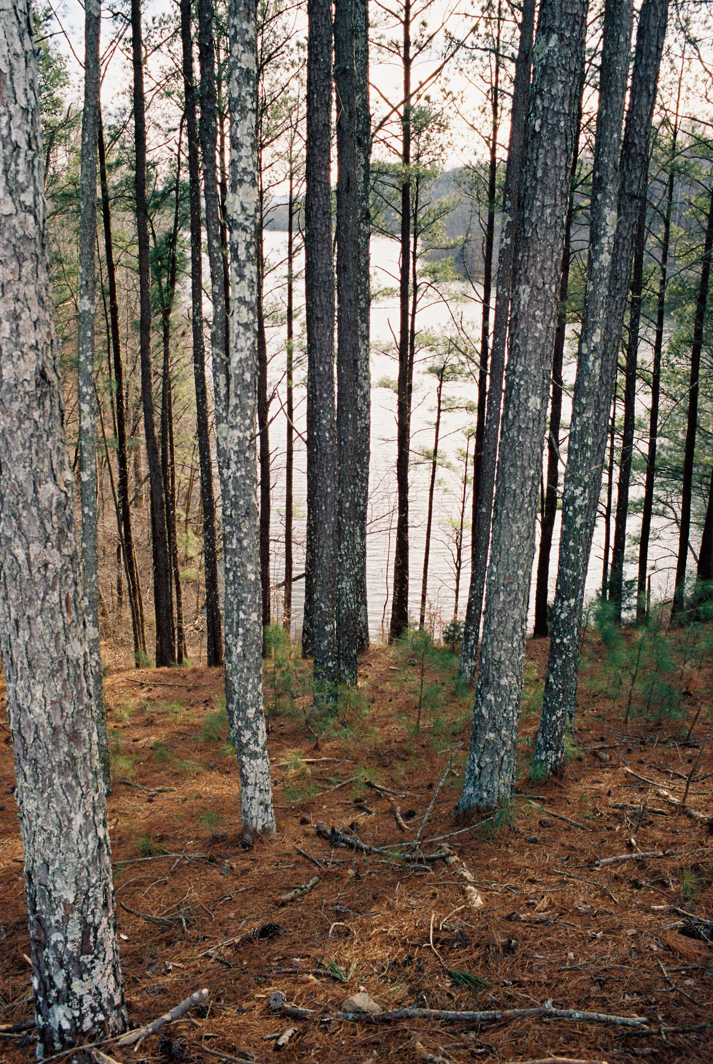 Williamsport Lakes - Maury County, Tennessee - Olympus OM1 / 50mm f1.8 / Kodak Portra 400 / The FINDLab