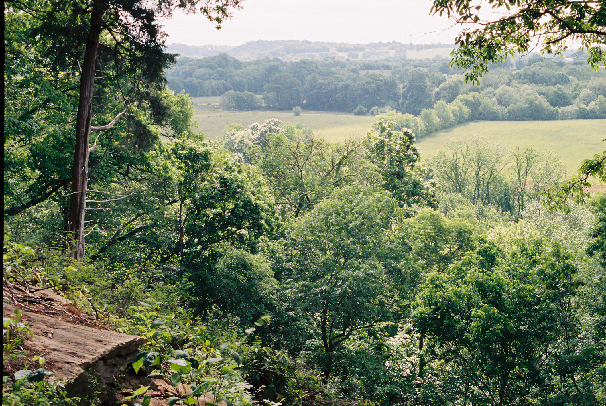 Jackson Falls - Natchez Trace Parkway, Tennessee - Olympus OM1 /50mm f1.8 / Kodak Portra 400 / The FINDLab